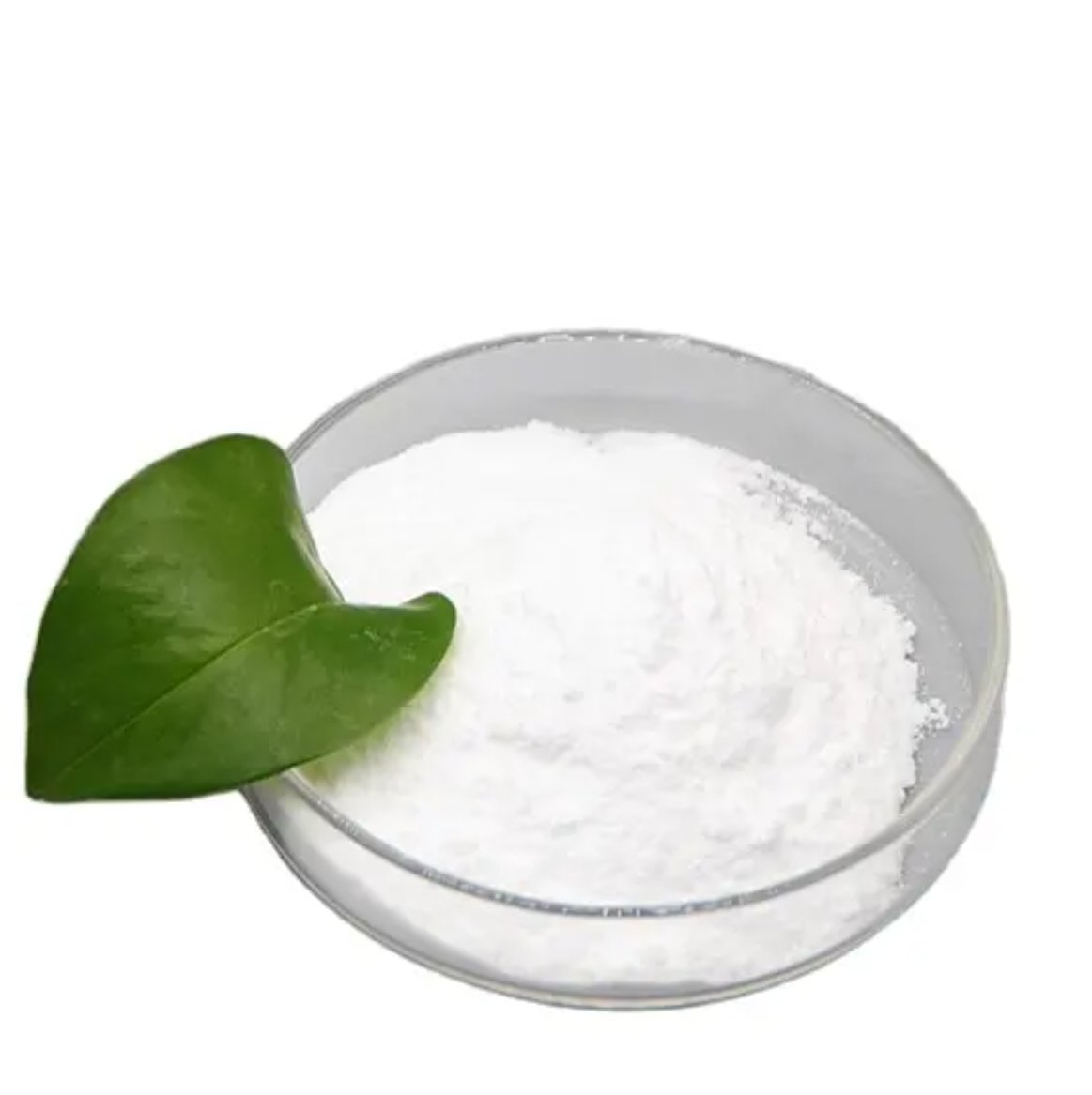 Aminoorotic acid 7164-43-4